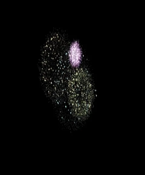 Fireworks black background Stock Footage 101833389