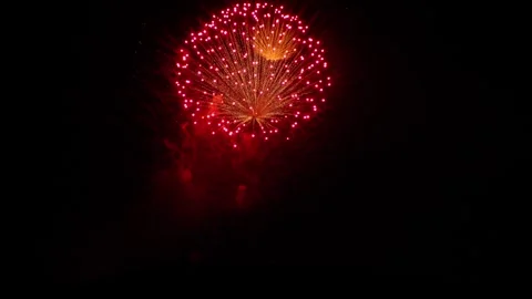 Fireworks Black Background For Oled Stock Footage 276336687
