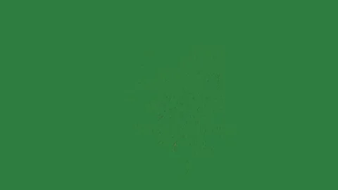 Fireworks black firework Stock Footage 336969186