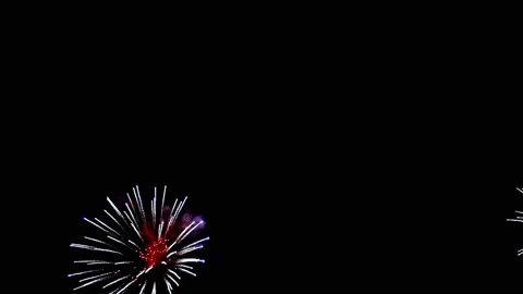Fireworks on black night sky Video stock 167678224