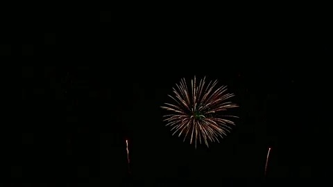 Fireworks on black night sky Video stock 221304349