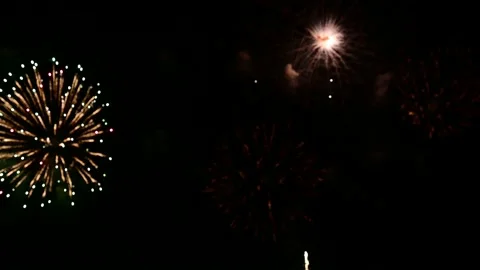Fireworks on black night sky Video stock 221304496