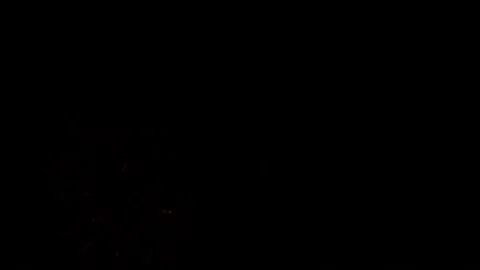 Fireworks on black night sky Video stock 221304882