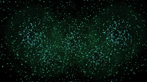 Fireworks on black sky background Stock Footage 257835997