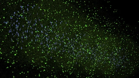 Fireworks on black sky background Stock Footage 257839376