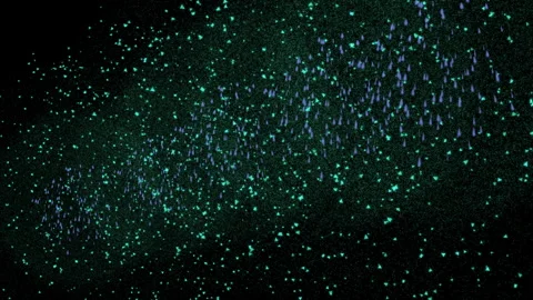 Fireworks on black sky background Stock Footage 257841192