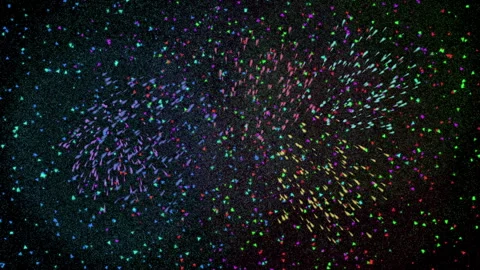 Fireworks on black sky background Stock Footage 257844350