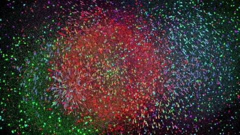 Fireworks on black sky background Stock Footage 257846977