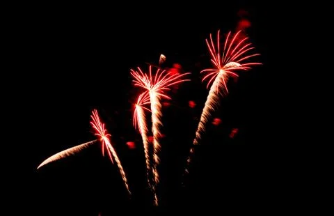Fireworks on black sky background Stock Photos