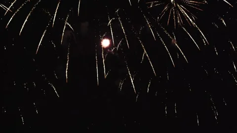 Fireworks in the black sky Stock-Footage 220684685