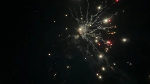 Fireworks - Canada Day 2 Stock Footage 313686767