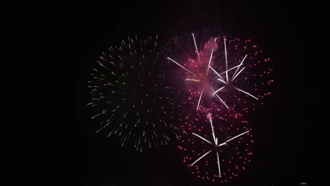 Fireworks celebrating over sky at night Stock Footage 307832463