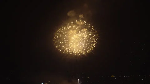 Fireworks celebrating over sky at night Stock Footage 307833018