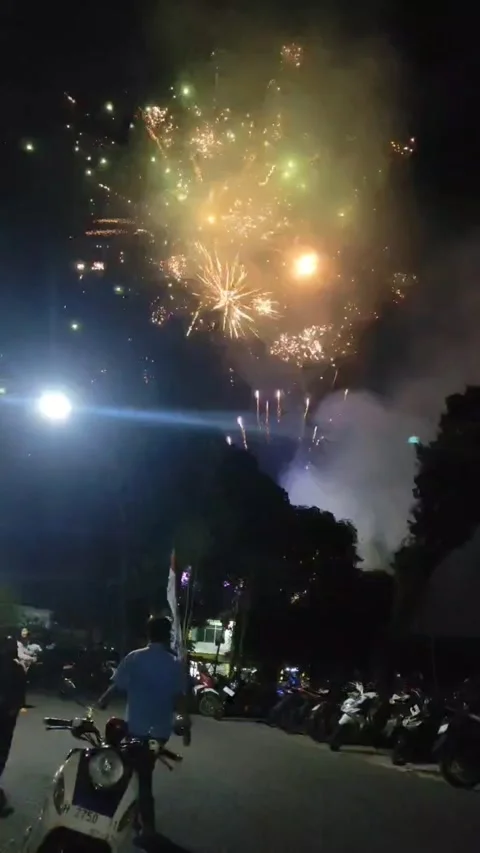 Fireworks celebration Stock Footage 312255896