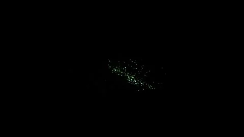 Fireworks in the dark night sky Stock Footage 292116148