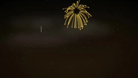Fireworks Display Animation Gold Willow Effect Night Sky Colorful Explosions Stock Footage 345942291