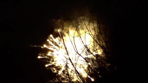 Fireworks Display Behind a Tree Branch at Night Stockbeeldmateriaal 265216770