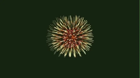Fireworks display celebration Stock Footage 296615401