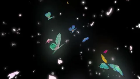 Fireworks display with graduation caps exploding in night sky Video stock 346438743