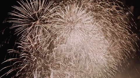 Fireworks Display Lighting the Night 스톡 동영상 331218491