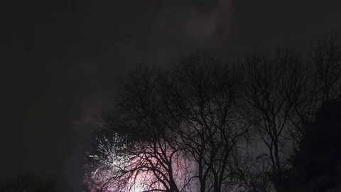 Fireworks display in the night sky  backlighting bare trees in the UK timelapse Stock Footage 86359978