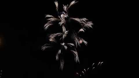 Fireworks display over dark sky Video stock 82208022