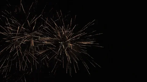 Fireworks Display From Under A Tree 库存影片 109305297