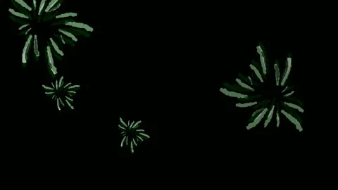 Fireworks eruptions Stock Footage 222117900