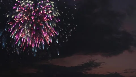 Fireworks on evening dark cloudy sky background Stock-Footage 324212977