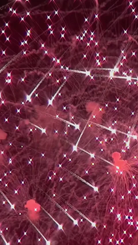 Fireworks Explode in the Night Sky During New Year's Celebration Video stock 344464323