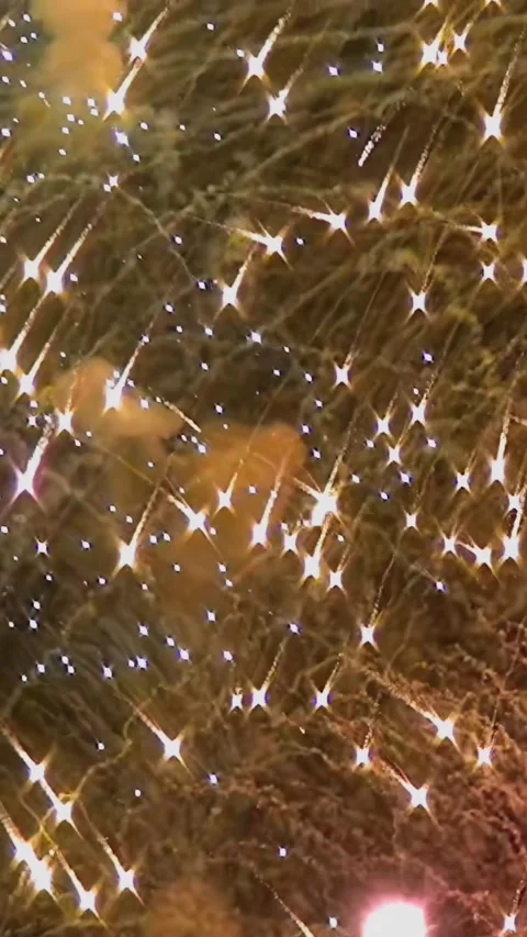 Fireworks Explode in the Night Sky During Fourth of July Celebrations Stockbeeldmateriaal 344464657