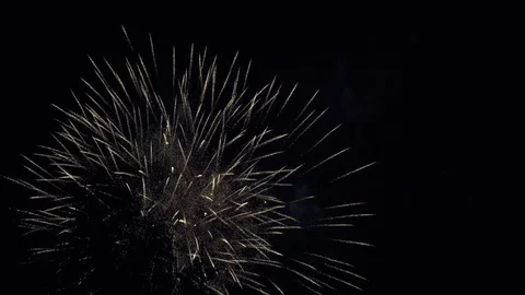 Fireworks explode in the night sky Stock Footage 119593596