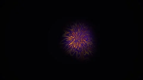 Fireworks explode in the night sky. Video stock 334521443