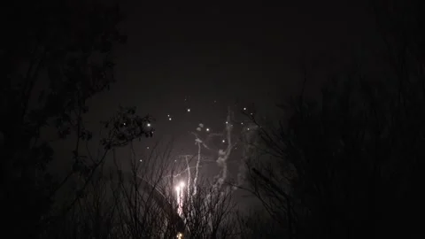 Fireworks Explode Over Dark Silhouetted Trees at Night Stock Footage 337414335