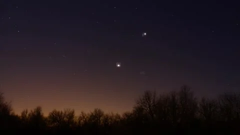 Fireworks Explode Over Magical Forest at Dusk Stock Footage 325328951