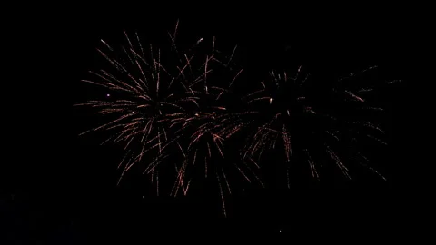 Fireworks exploding against a dark night sky during a festive celebration Stock-Footage 340448019