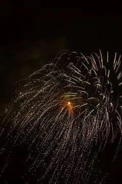 Fireworks exploding against night sky 库存照片