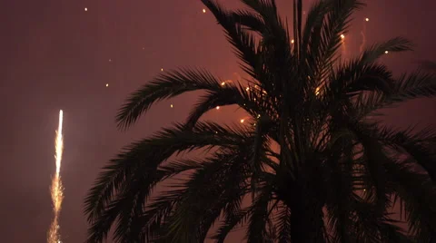 Fireworks exploding in background of palm tree on summer evening 4k 库存影片 61868097