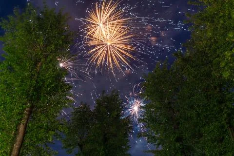 Fireworks exploding behind green trees Stock Photos