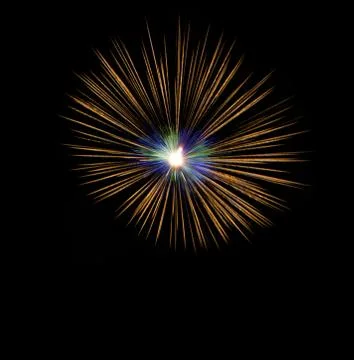 Fireworks exploding in black sky Stock Photos
