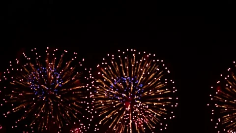 Fireworks exploding in dark night sky Video stock 221305171