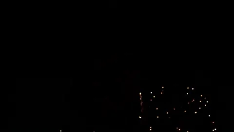 Fireworks exploding in dark night sky Video stock 221305175