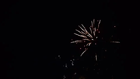 Fireworks exploding in the dark night sky Stock Footage 262003108