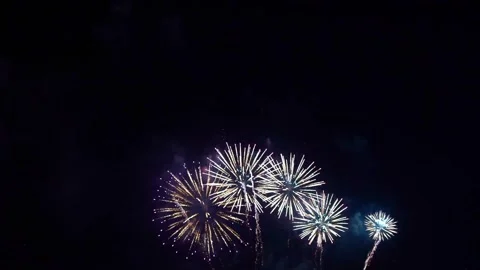Fireworks exploding in dark night sky celebration scene Video stock 314497127