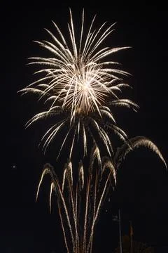 Fireworks exploding in the dark night sky during a celebration Foto stock