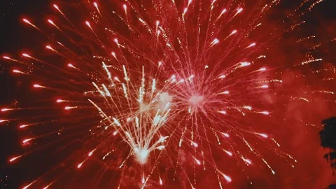 Fireworks Exploding Stock Footage 77210515