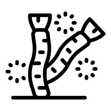 Fireworks exploding near two sugarcane stalks during harvest season 스톡 일러스트