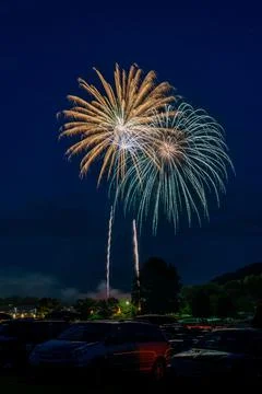 Fireworks Exploding at Night 库存照片