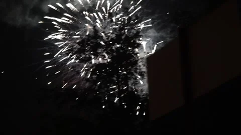 Fireworks Exploding In The Night Sky Behind A Tree Stock Footage 294061552