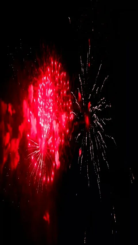 Fireworks exploding in night sky. Colorful pyrotechnics display. Stock Footage 339778174